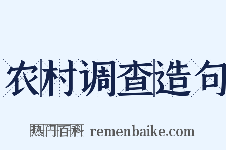农村调查造句是什么意思的图片